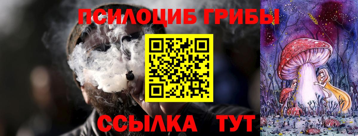 Галлюциногенные грибы MAGIC MUSHROOMS  Вход с VPN  Партизанск  Псилоцибиновые грибы GOLDEN TEACHER 
