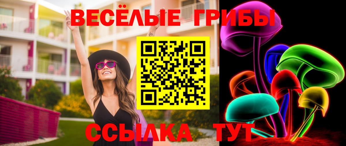 Псилоцибиновые грибы прущие грибы Партизанск