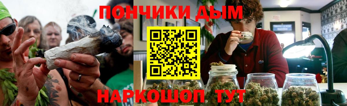 Канабис планчик  Вход с VPN  Каннабис сатива  Партизанск  Шишки марихуана гибрид 
